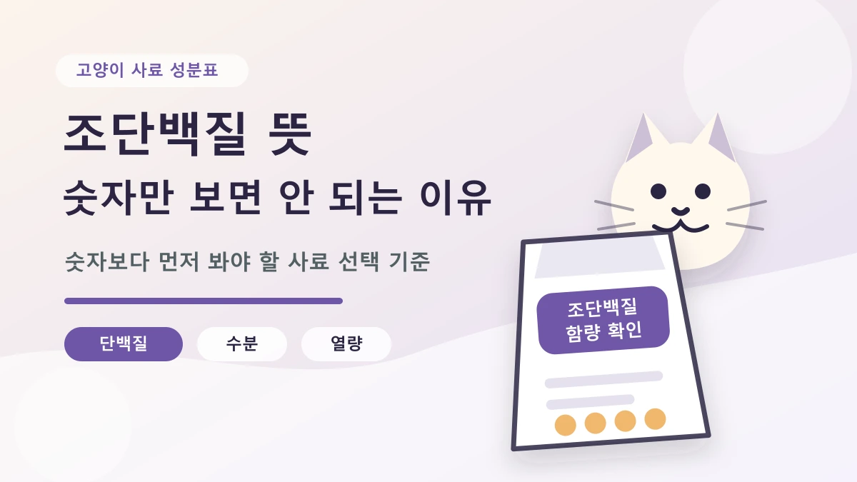 고양이 사료 조단백질 뜻: 단백질 함량만 보고 고르면 안 되는 이유
